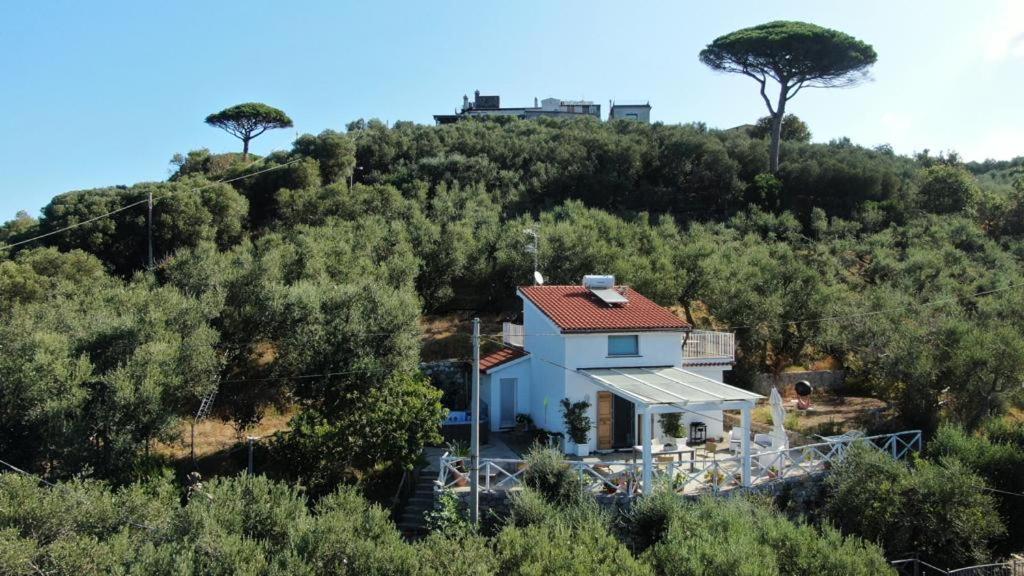 Villa Manu Massa Lubrense Dış mekan fotoğraf