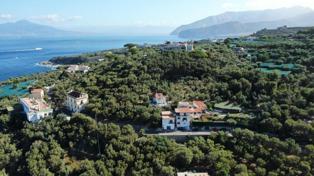 Villa Manu Massa Lubrense Dış mekan fotoğraf
