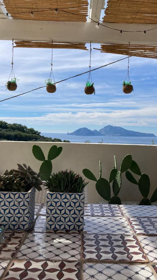 Villa Manu Massa Lubrense Dış mekan fotoğraf