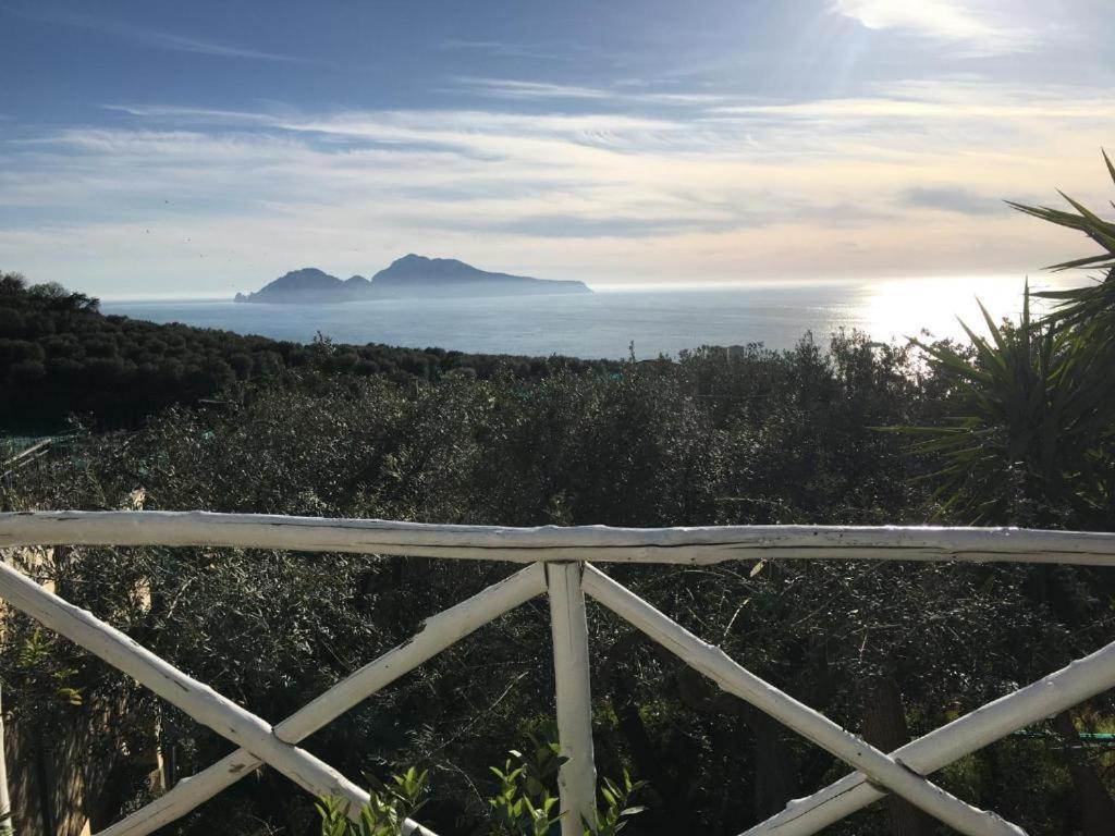 Villa Manu Massa Lubrense Dış mekan fotoğraf