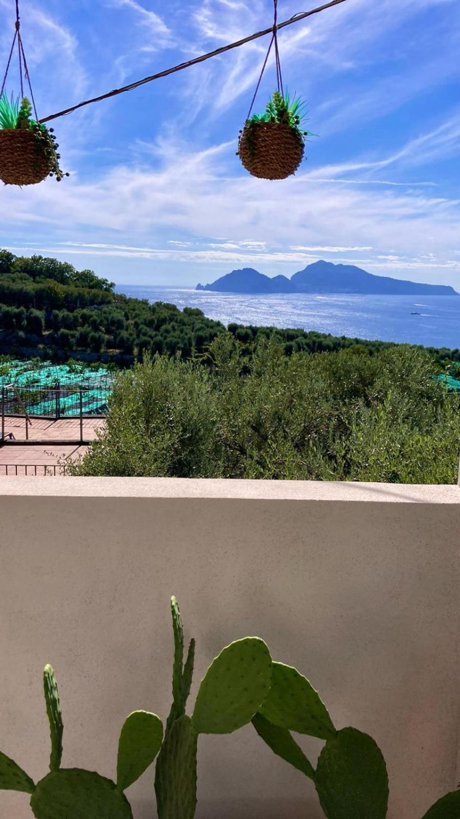 Villa Manu Massa Lubrense Dış mekan fotoğraf