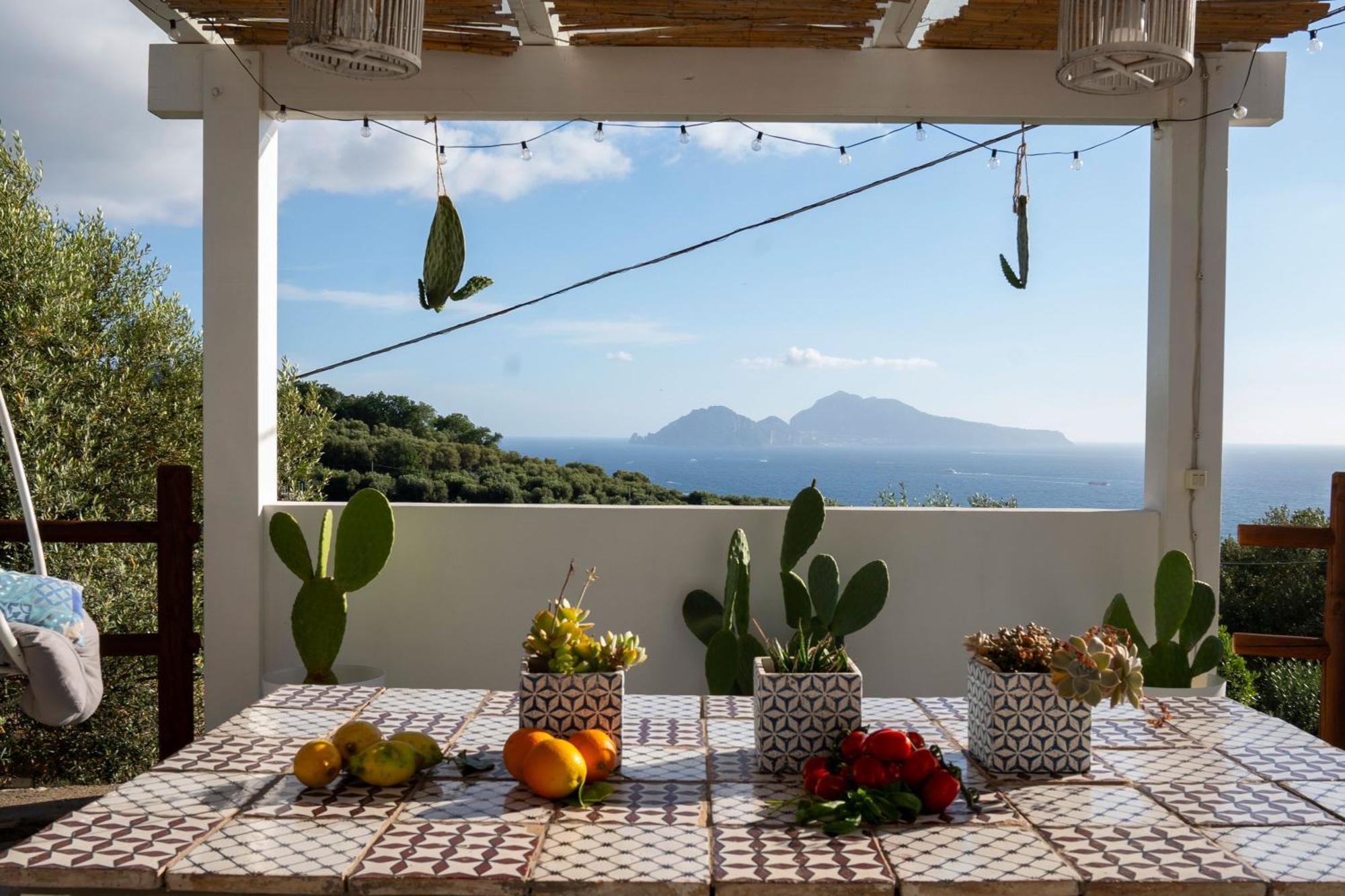 Villa Manu Massa Lubrense Dış mekan fotoğraf