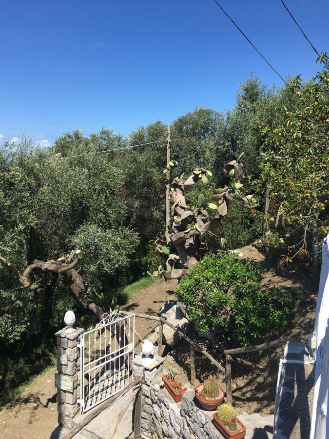 Villa Manu Massa Lubrense Dış mekan fotoğraf